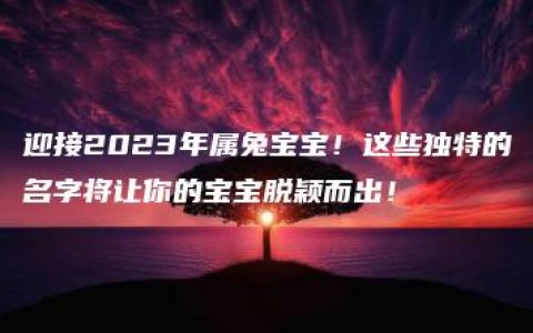 迎接2023年属兔宝宝！这些独特的名字将让你的宝宝脱颖而出！