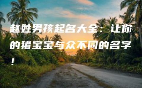 赵姓男孩起名大全：让你的猪宝宝与众不同的名字！