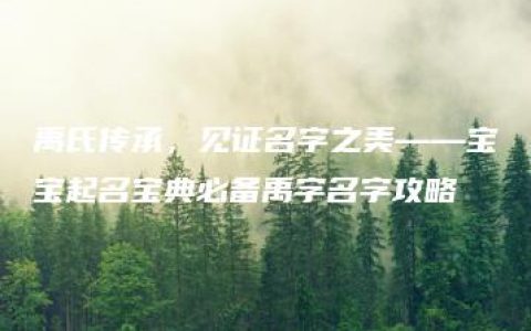 禹氏传承，见证名字之美——宝宝起名宝典必备禹字名字攻略