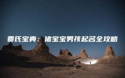 贾氏宝典：猪宝宝男孩起名全攻略