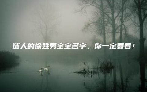 迷人的徐姓男宝宝名字，你一定要看！