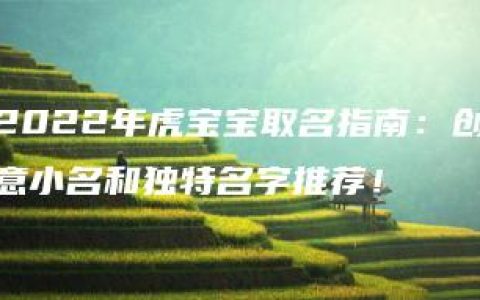 2022年虎宝宝取名指南：创意小名和独特名字推荐！