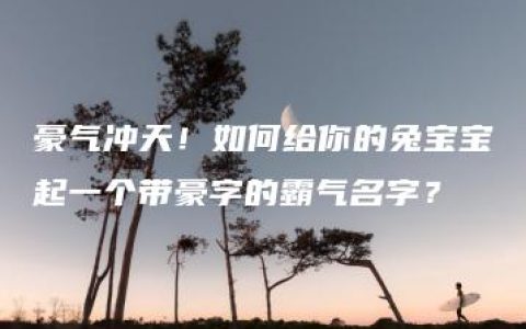 豪气冲天！如何给你的兔宝宝起一个带豪字的霸气名字？