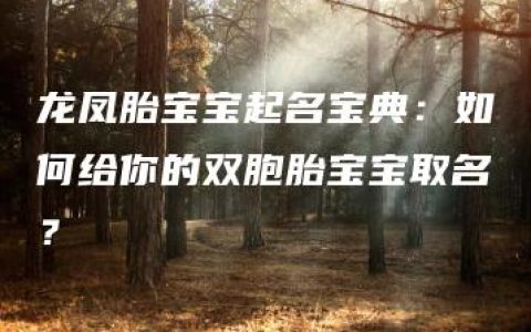 龙凤胎宝宝起名宝典：如何给你的双胞胎宝宝取名？