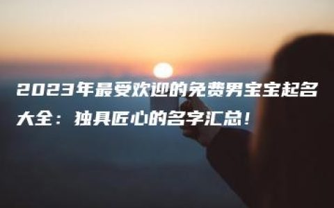 2023年最受欢迎的免费男宝宝起名大全：独具匠心的名字汇总！