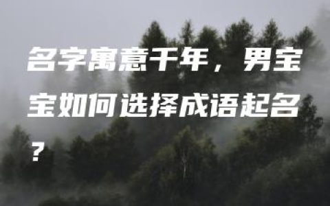 名字寓意千年，男宝宝如何选择成语起名？