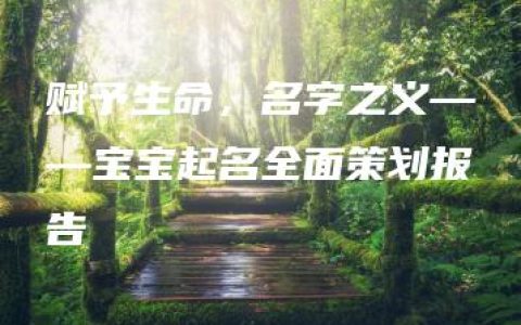 赋予生命，名字之义——宝宝起名全面策划报告