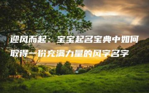 迎风而起：宝宝起名宝典中如何取得一份充满力量的风字名字