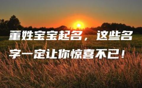 董姓宝宝起名，这些名字一定让你惊喜不已！