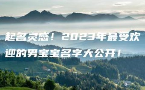 起名灵感！2023年最受欢迎的男宝宝名字大公开！