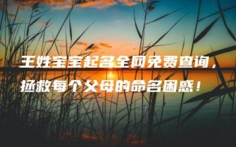 王姓宝宝起名全网免费查询，拯救每个父母的命名困惑！