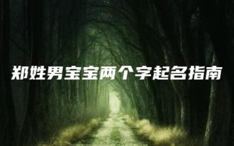 郑姓男宝宝两个字起名指南