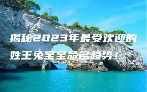 揭秘2023年最受欢迎的姓王兔宝宝命名趋势！