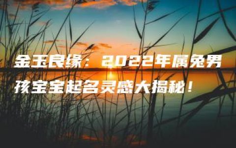 金玉良缘：2022年属兔男孩宝宝起名灵感大揭秘！