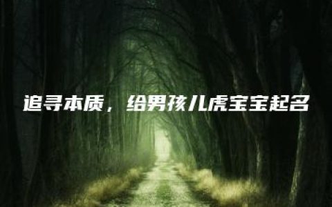 追寻本质，给男孩儿虎宝宝起名