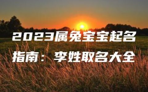 2023属兔宝宝起名指南：李姓取名大全