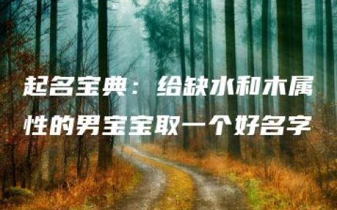 起名宝典：给缺水和木属性的男宝宝取一个好名字