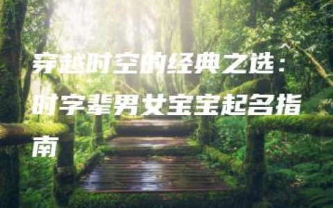 穿越时空的经典之选：时字辈男女宝宝起名指南