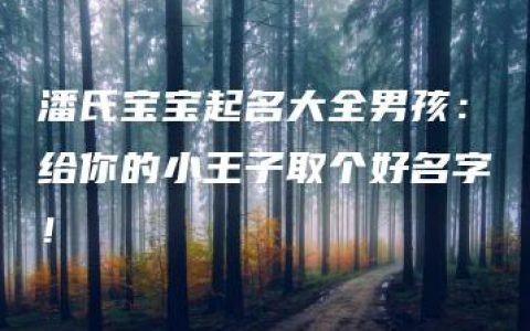 潘氏宝宝起名大全男孩：给你的小王子取个好名字！