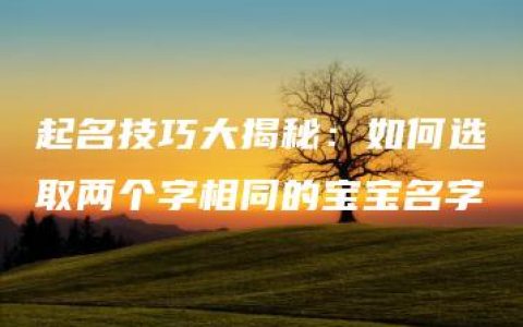 起名技巧大揭秘：如何选取两个字相同的宝宝名字