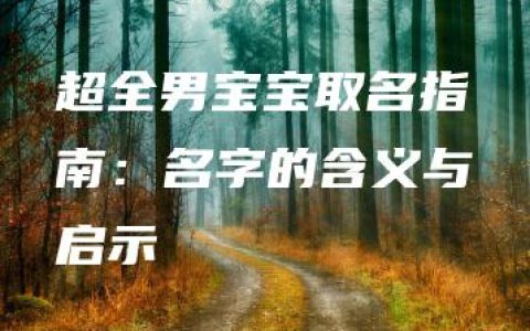 超全男宝宝取名指南：名字的含义与启示