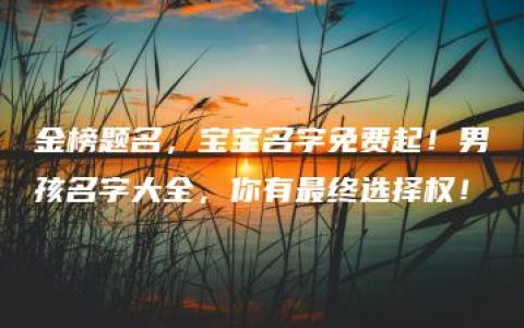 金榜题名，宝宝名字免费起！男孩名字大全，你有最终选择权！