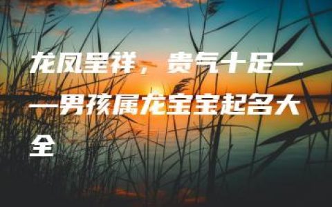 龙凤呈祥，贵气十足——男孩属龙宝宝起名大全