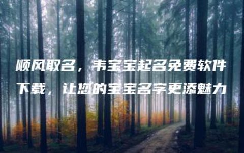 顺风取名，韦宝宝起名免费软件下载，让您的宝宝名字更添魅力