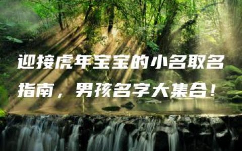 迎接虎年宝宝的小名取名指南，男孩名字大集合！