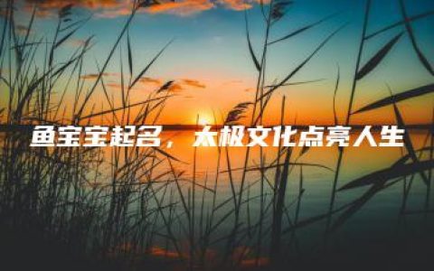 鱼宝宝起名，太极文化点亮人生