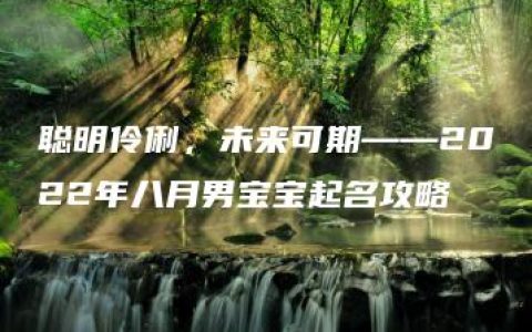 聪明伶俐，未来可期——2022年八月男宝宝起名攻略