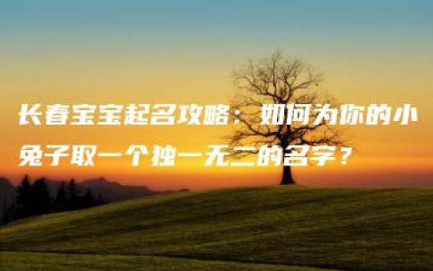 长春宝宝起名攻略：如何为你的小兔子取一个独一无二的名字？