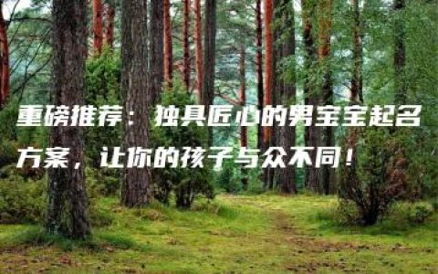 重磅推荐：独具匠心的男宝宝起名方案，让你的孩子与众不同！