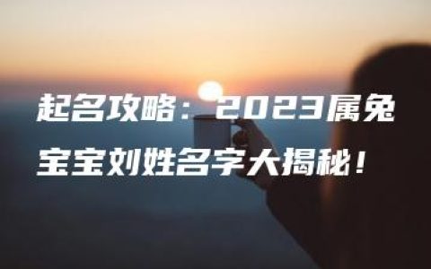 起名攻略：2023属兔宝宝刘姓名字大揭秘！