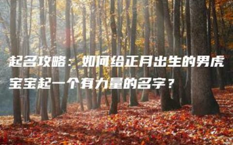 起名攻略：如何给正月出生的男虎宝宝起一个有力量的名字？