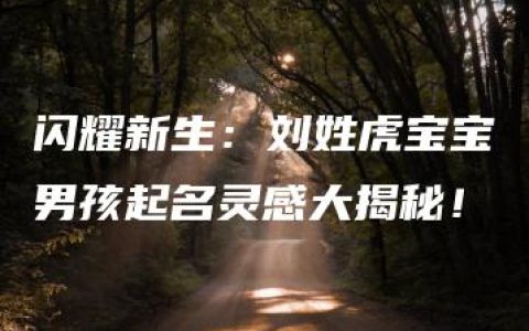 闪耀新生：刘姓虎宝宝男孩起名灵感大揭秘！