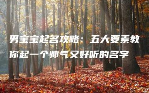 男宝宝起名攻略：五大要素教你起一个帅气又好听的名字