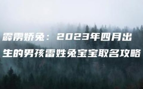 霹雳娇兔：2023年四月出生的男孩雷姓兔宝宝取名攻略