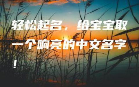 轻松起名，给宝宝取一个响亮的中文名字！