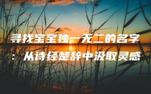 寻找宝宝独一无二的名字：从诗经楚辞中汲取灵感