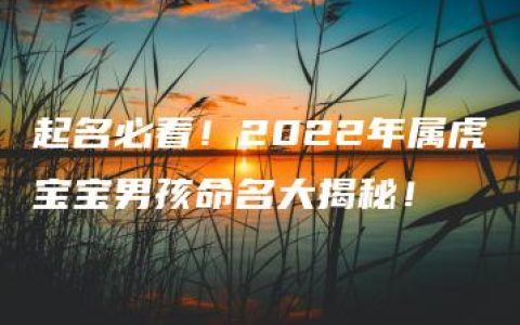 起名必看！2022年属虎宝宝男孩命名大揭秘！