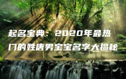 起名宝典：2020年最热门的姓唐男宝宝名字大揭秘