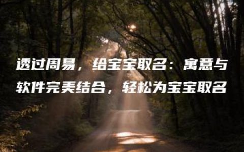 透过周易，给宝宝取名：寓意与软件完美结合，轻松为宝宝取名