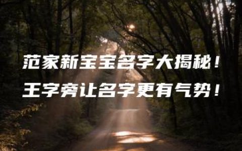 范家新宝宝名字大揭秘！王字旁让名字更有气势！