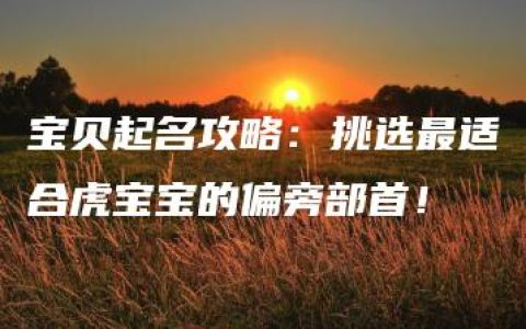 宝贝起名攻略：挑选最适合虎宝宝的偏旁部首！