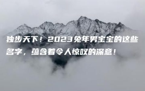 独步天下！2023兔年男宝宝的这些名字，蕴含着令人惊叹的深意！