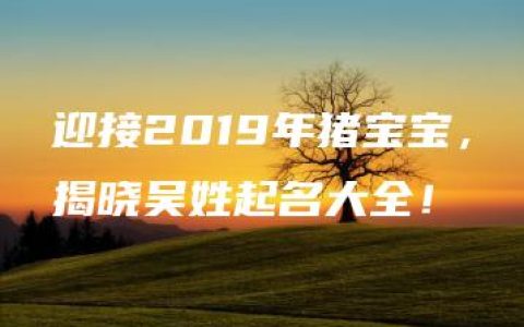 迎接2019年猪宝宝，揭晓吴姓起名大全！