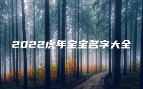 2022虎年宝宝名字大全