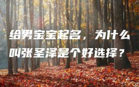 给男宝宝起名，为什么叫张圣泽是个好选择？