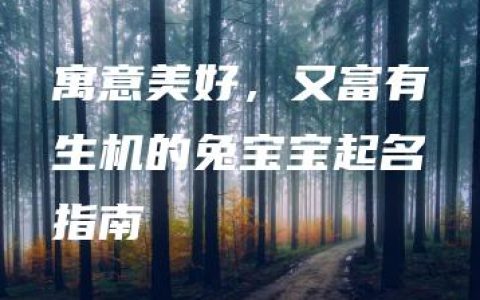 寓意美好，又富有生机的兔宝宝起名指南